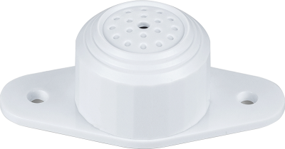 Microphone miniature