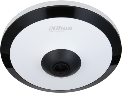 Caméra IP Fisheye 5MP WizMind IR10m micro