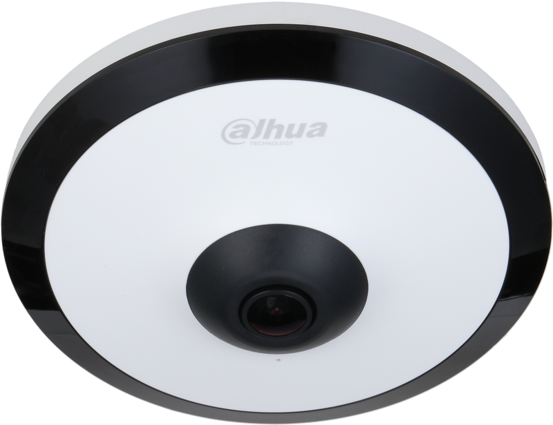 Caméra IP Fisheye 5MP WizMind IR10m micro