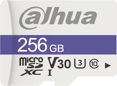 Micro carte SD Classe 10 256 GB