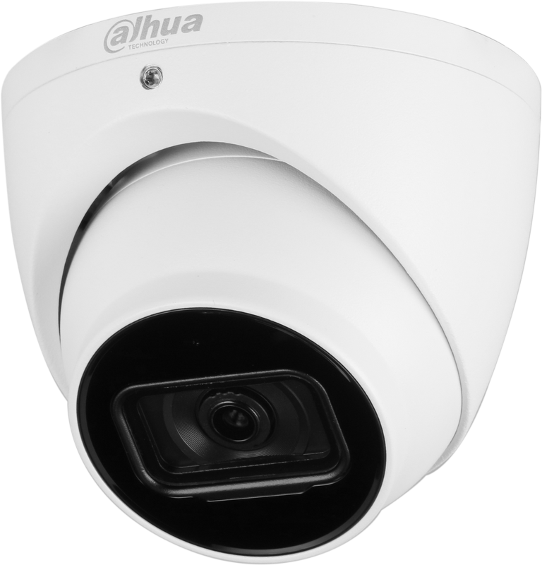 Caméra IP Eyeball 4MP WizSense Starlight, Focale fixe 2.8mm, IR50m, Micro